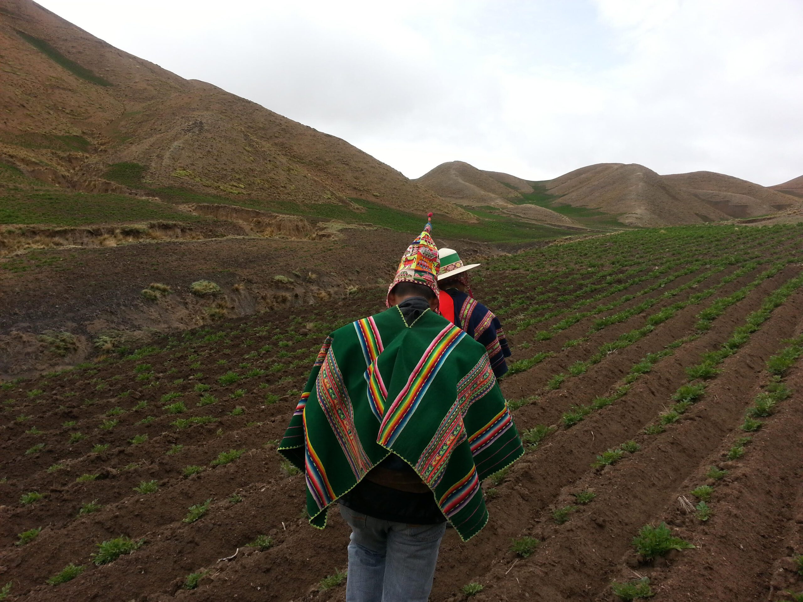 CONTROL COMUNITARIO Y CUIDADO DE LA TIERRA